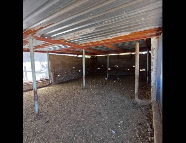 25,696M² SMALLHOLDING FOR SALE IN COOPERVILLE